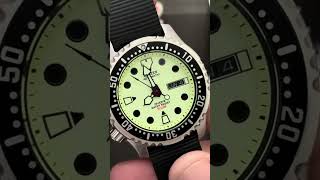 #citizen #promaster #ny0040 #fullume #watch #orologio #diverwatch #wristwatch