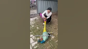 لماذا يتم لف الطاووس بالشريط اللاصق 