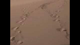 Dj Sammy - Time After Time   Lyrics