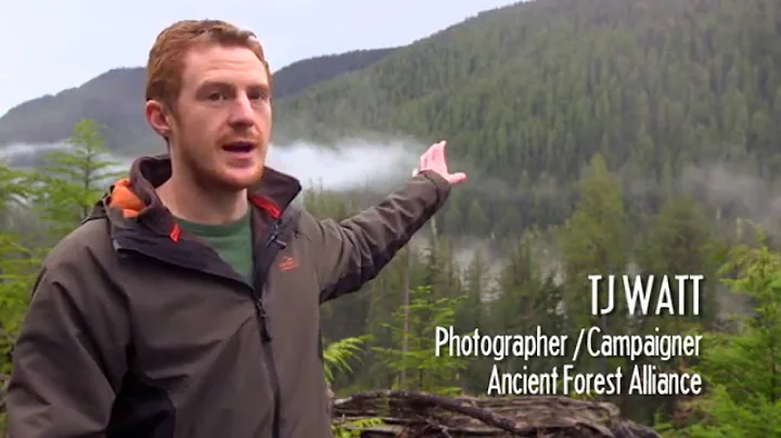 The Central Walbran Valley