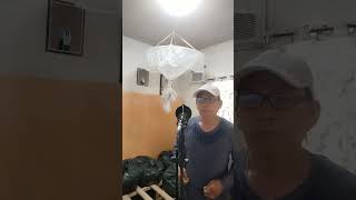 Yesterday When I Was Young covered by Jaime Soliano