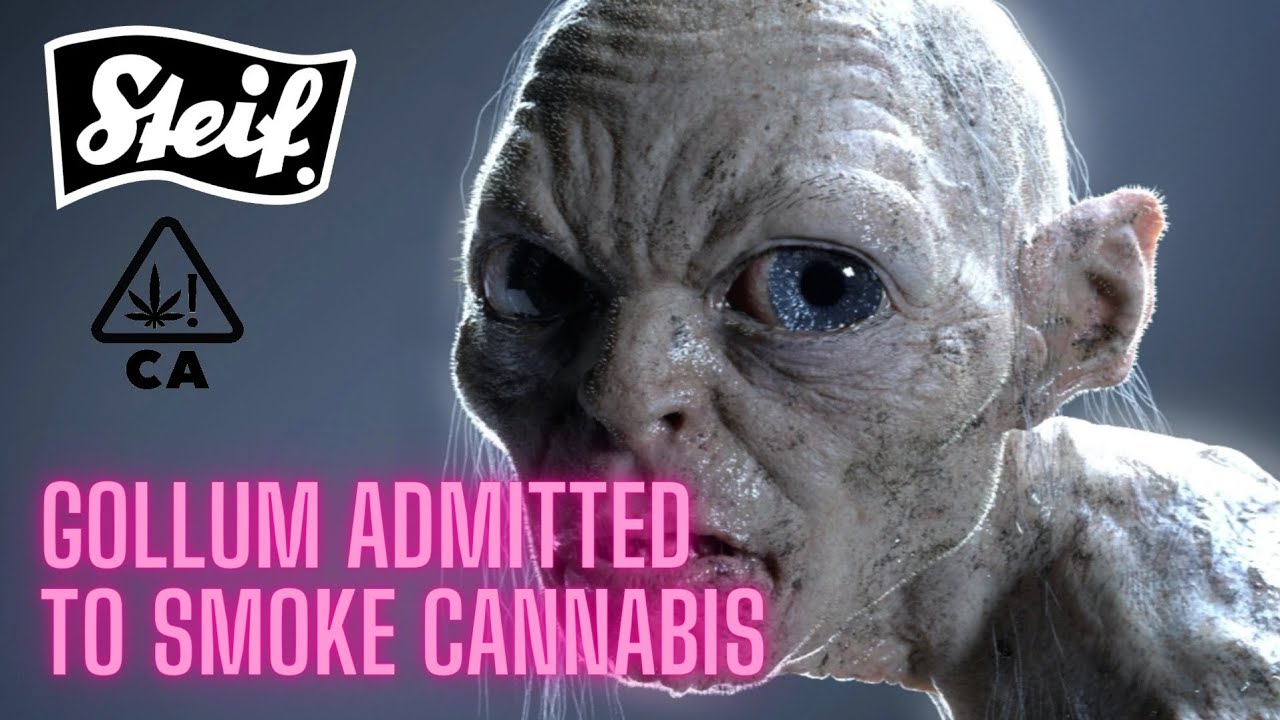 GOLLUM ADMITTED TO SMOKE CANNABIS LONG AGO
