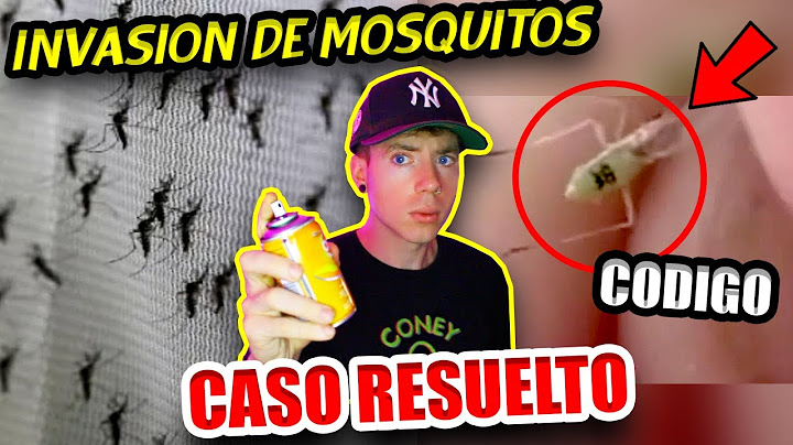 TODA LA VERDAD sobre LA INVASIÓN DE MOSQUITOS ¿FUERON CREADOS A PROPÓSITO?