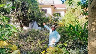 Forgotten Homes: Left Behind for 10 Years!#AbandonedHouse #ForgottenPlaces #AbandonedFor10Years