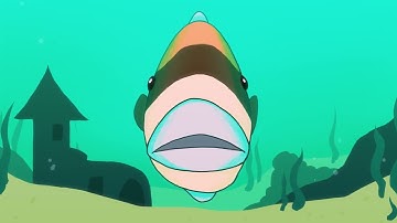 Tang Gang | 24 Hour Animation Challenge 2025
