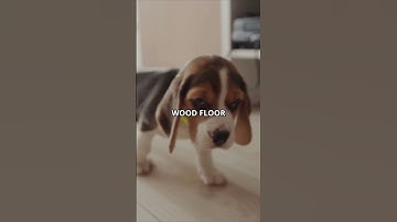 Sound Design Expert Shares Top Tips for Creating REALISTIC FPV Videos