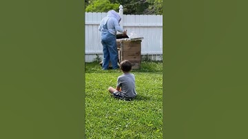Intro video  #beekeeper #beekeeping