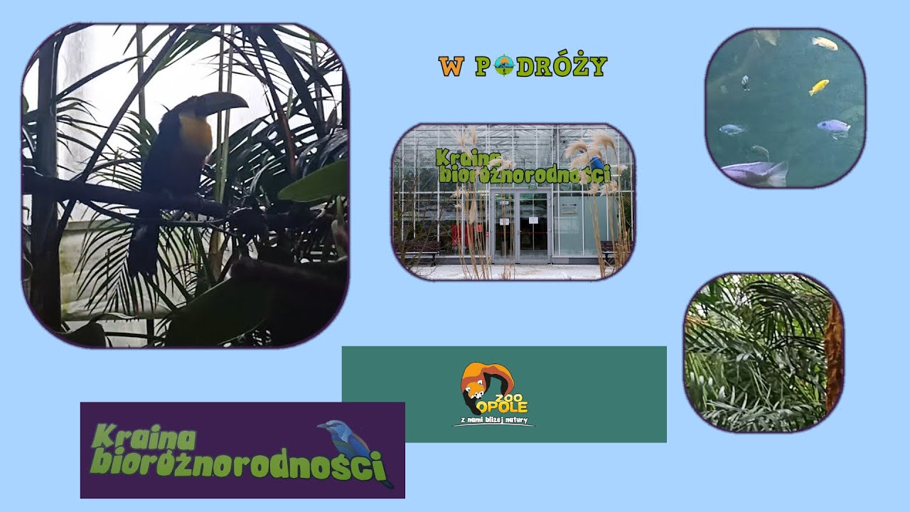 ZOO Opole - Świat Bioróżnorodności