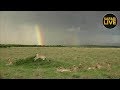 safariLIVE - Sunset Safari - December 16, 2018