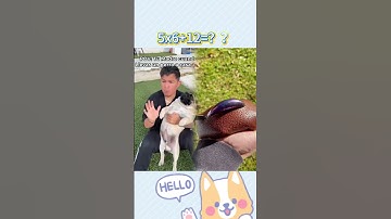 Loved it? Like, comment, subscribe! Let