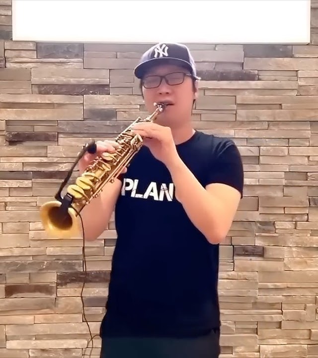 My Heart Will Go On - Titanic Kenny G saxophone #kennyg #saxophone #selmermarkvi #cover #shortsvideo