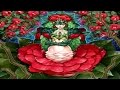 Yu-Gi-Oh! Best PLANT PRINCESS Deck Profile! November 2016 Yu-Gi-Oh! Best PLANT PRINCESS Deck Profile! November 2016