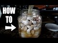 HOW TO PRESERVE GARLIC FOR YEARS! ULTIMATE PREPPER TRICK!