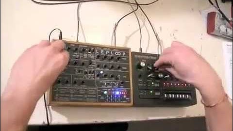 LepLoop /|\ Sync /|\ Monotribe