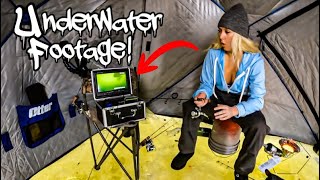 Ice Fishing A Shallow Flat Watching Them Underwater!!! (Underwater Footage!!)