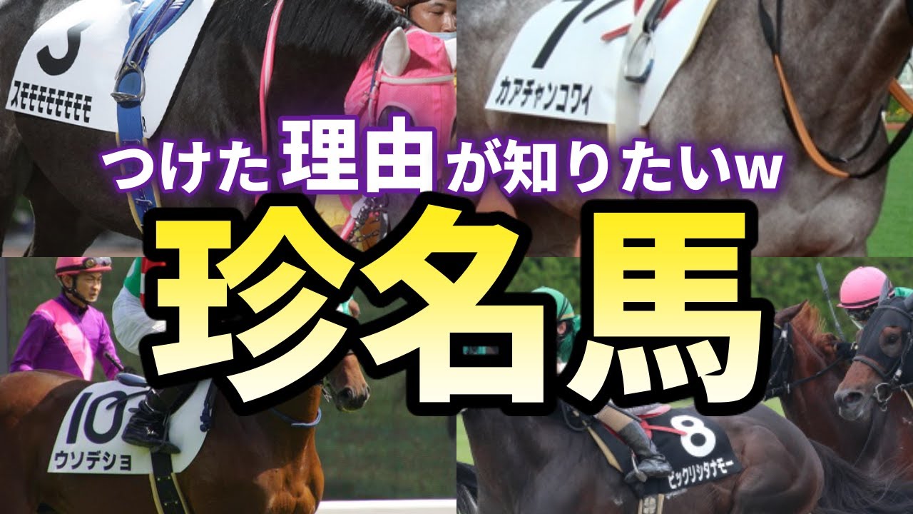 競馬界の笑い種 爆笑必須の珍名馬１０選 笑顔をくれるが実況者泣かせな馬たち Youtube