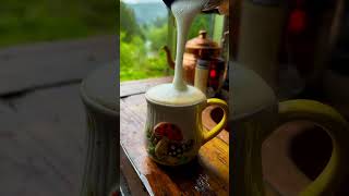 Soft Springtime Day In Our Bus Home  buslife vanlife springtime cozyvibes slowliving