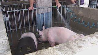 Heart of Illinois Fair returns to Peoria on Tuesday