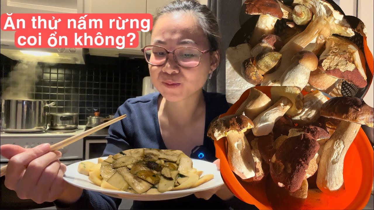 🇸🇪59 Hái được đống nấm đùi gà khổng lồ trong rừng Thuỵ Điển, chế biến ...