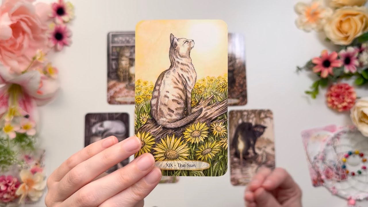 VIRGO🩵LAS CARTAS REVELAN ESTO! ALGUIEN TE BUSCA CON ESTA INTENCION ...