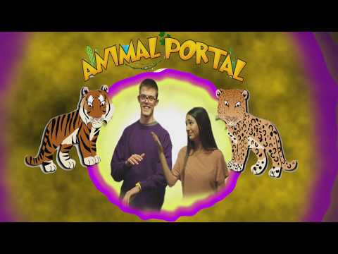 Animal Portal