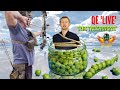 QE 'LIVE' 'THE TREATMENT': BallTARD Schmuck - Dorkimor 81