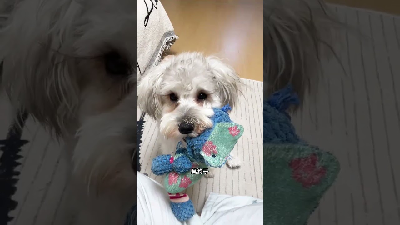 The daily routine of a person quitting their job and staying at home without going out or