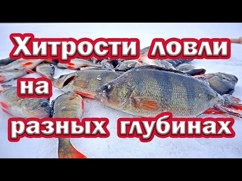 Хитрости ЛОВЛИ ОКУНЯ на разных глубинах.  Поиск КРУПНОГО ОКУНЯ Зимой !!! ЛУЧШИЕ ПРИМАНКИ !!!