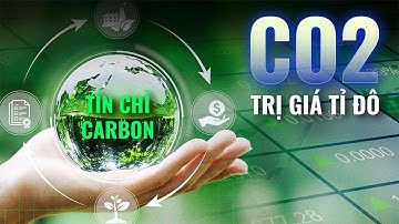 TÍN CHỈ CARBON – Loại tiền tệ mới trong kỷ nguyên ngập tràn ô nhiễm? | Baram01