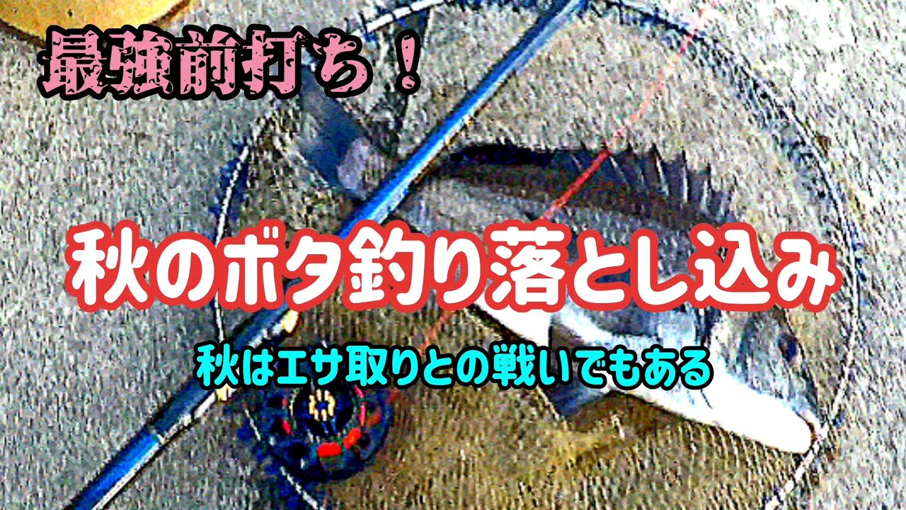 落とし込み黒鯛 107フグの猛威を交わせるか 永遠の良きライバルですよ Youtube