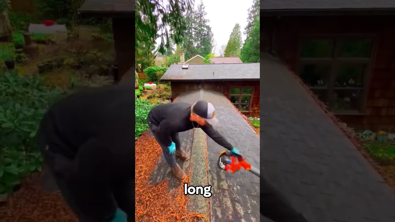 Satisfying Gardening Work 🌳 