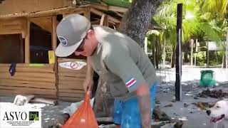 Sociedad De Ses De Vida Patrocina Voluntariado Para Proteger La Vida De Las Tortugas Marinas