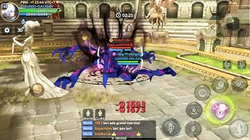 Trying to defeat number 1 in ladder. DNM (celestial) private server