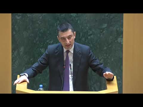 გიორგი გახარიას შემაჯამებელი სიტყვა საქართველოს პარლამენტში.