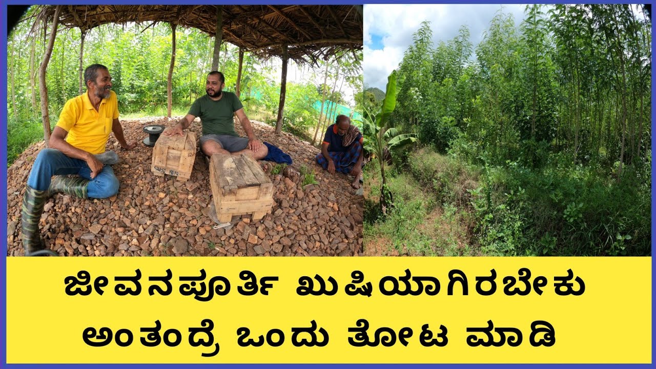 ಭಾಗ-2 ತಮ್ಮಯ್ಯ ರವರ ಮಾರ್ಗದರ್ಶನದಲ್ಲಿ ಬೆಳೆದಿರುವ ಒಂದು ಎಕರೆಯ 10 ತಿಂಗಳ ತೋಟ...!
