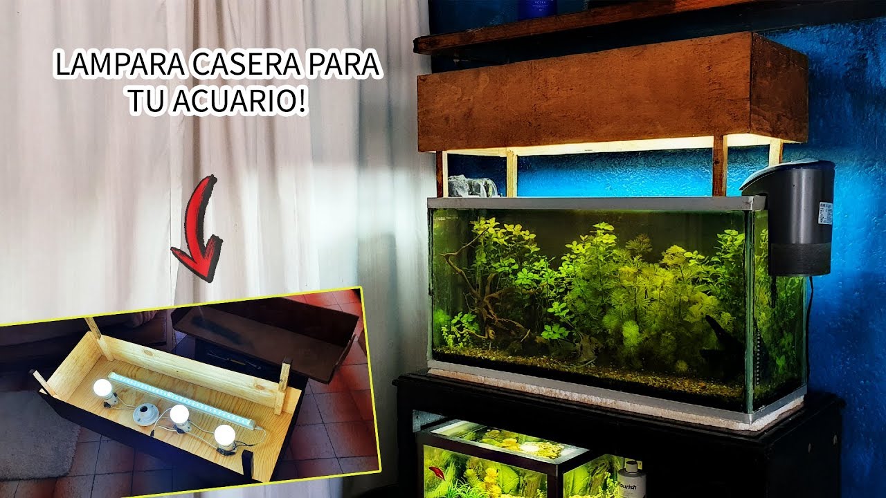 Marinero radio vestirse LAMPARA CASERA para tu ACUARIO PLANTADO | Remodelación! | AcuariosLP -  YouTube