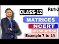 🎓 Class 12 Mathematics - Matrices Chapter-3 | Example 7 to 14 NCERT Explanation by Shyam Sir