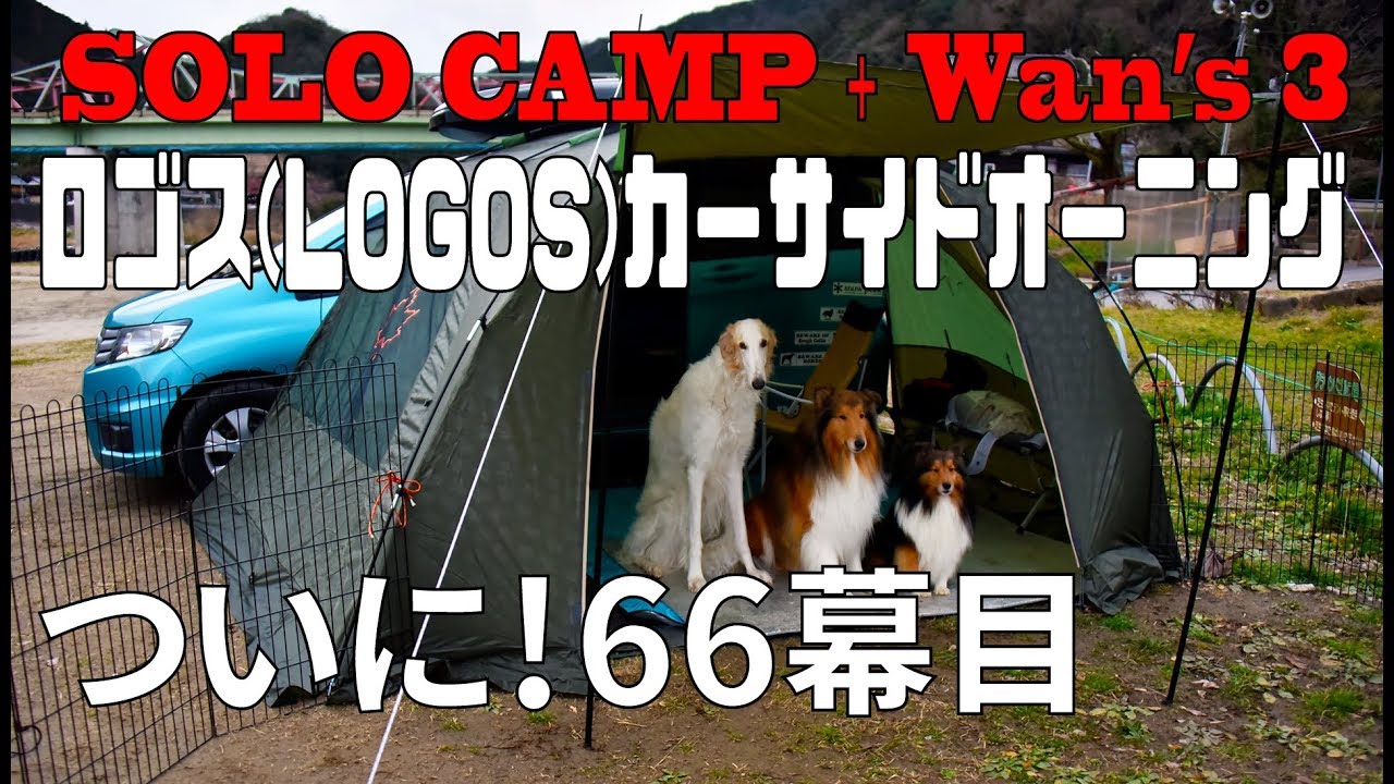 ソロキャンプ＋ワンズ３ 66幕目!ロゴス(LOGOS)カーサイドオーニング(チーズモツ鍋)(冬ラストキャンプ)(笠置キャンプ場)