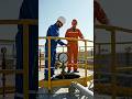 iran best work oil