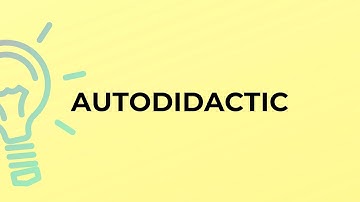 What is the meaning of the word AUTODIDACTIC?