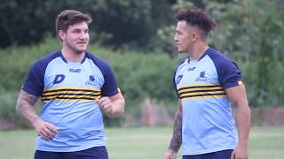 Norths Devils Rugby League - Training Uniforms 2019
