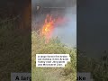 A wildfire broke out Sunday in the Arazim Valley near Jerusalem, close to Mevaseret Zion.
