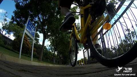 FIREFLY 8S bike on 4K