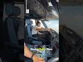 "Log Boeing Se Zyada Airbus Mein Kyun Safe Feel Karte Hain? ✈️😱"#Trending #Viral #shorts#Flying
