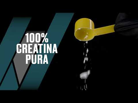IMPONENTE: CREATINE+ Meta