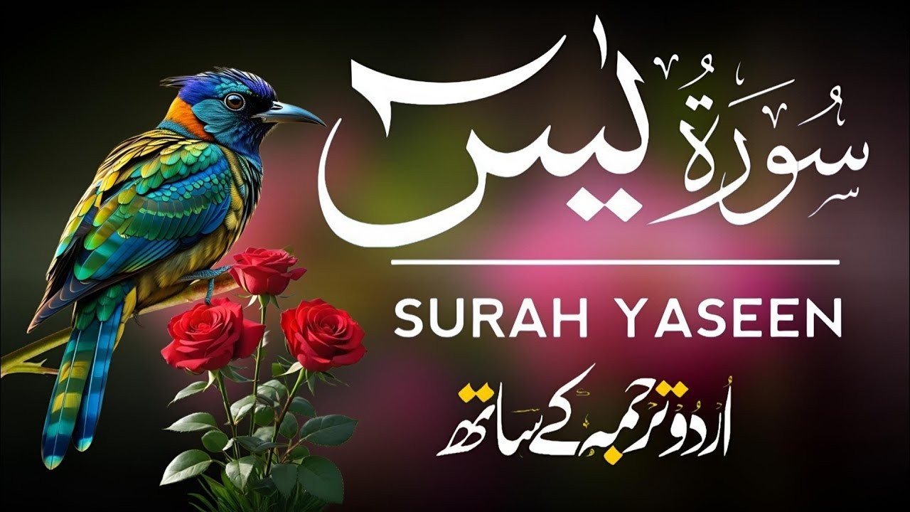 Surah Yaseen | Surah Yaseen With Urdu Translation | Al Furqan Studio | Ep101