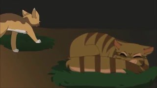 A Tale of Two Sons MAP Part 8