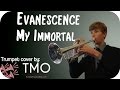 Evanescence - My Immortal (TMO Cover)