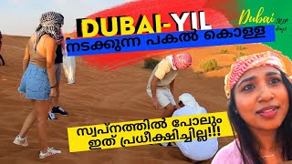 What Not to Do in Desert Safari Dubai   Malayalam Vlog