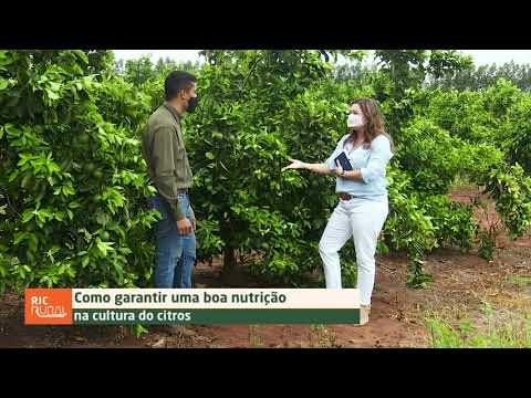 Vídeo: Por que os vegetais de raiz ficam mais doces com o frio - Aprenda sobre o adoçamento de inverno de culturas de raízes